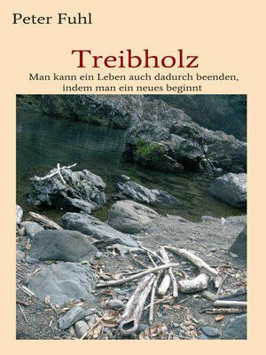 cover image of Treibholz